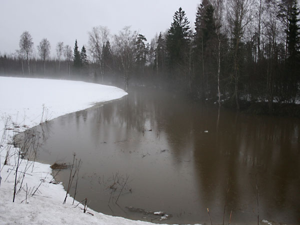 Tulviva Vantaa-joki
